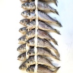 법성포 영광 참굴비 20미 40미 15-16cm 천일염 실속형굴비 : 밥앤찬