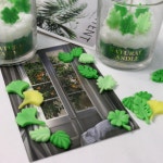 캔들나라 데코 나뭇잎 석고방향제 천연 비누 오브제 캔들 만들기 실리콘 몰드 : candlenara캔들나라