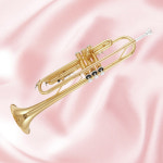 야마하 트럼펫 YTR2330 초보용 학생용 입문용 학교트롬펫 케이스 YTR-2330 : 하이뮤직컴퍼니