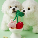 [버터샵] 체리 스크래빗 펫 터그놀이 장난감 : BUTTER SHOP