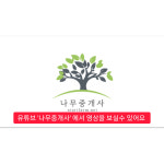 젓나무 전나무묘목 4년생 크리스마트 미니트리 : 시작묘목마트