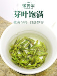 곽산황아 황차 250g 2023년 신차 명전 안후이 새싹 특급 황아차 : 차이준