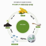 생분해성 바이오 기반 택배봉투  방수 자착 택배봉투 백색포장봉투 : 세디빈더