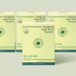 영롱 비건 비타민C[인디언구스베리] 임산부 비타민씨 추가상품 천연 사이다 27g, 4개 : 영롱 YOUNGLONG
