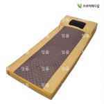 [프로텍메디칼] 전기마사지기 안마매트 PRO-5002 : 최저가판매원