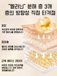 (1+1) 유심당 미백 톤업 피부 주름개선 콜라겐 크림 : 뷰티 오아시스
