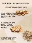 (1+1) 유심당 미백 톤업 피부 주름개선 콜라겐 크림 : 뷰티 오아시스