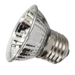 아마존 할로겐 램프 50w / 거북이 파충류 조명 등 : 라임펫아쿠아