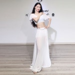 밸리의상 드레스 스커트 댄스복 : 다니샵.