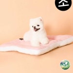 강이지 침대 도그포즈 소형 애완용품 심플핑크 펫용품 365 애견용품 : 청초들마켓