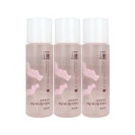 과일나라 본체청정연 네일리무버 리뉴얼 100ml x 3개 : 에코제이몰