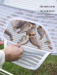고추 자연건조 그물망 생선 채소 걸이형 단 생선말리는망 말리기 과일 농수산물 : 제이에스직구대행