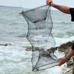 물고기 통발 바다 계곡 민물 장어 미꾸라지 민물고기 문어 외통발 : kallegory