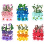 자연 DIY 말린 꽃 혼합 만들기 소품 인테리어 액세서리 1 : 드리머1314