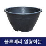 고무 블루베리 화분 원형 야외화분 : 리빙스피어