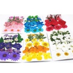 자연 DIY 말린 꽃 혼합 만들기 소품 인테리어 액세서리 1 : 드리머1314