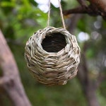 애완 동물 새 침대 밀짚 침대 쉼터 서식지 동굴 벌새 둥지 안뜰 행잉 버드 오두막 : 록벨