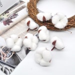 6Pcs 인공 Kapok 머리 자연 말린 된 꽃 목화 면봉 웨딩 룸 부활절 장식 용품 : 다팔자마트