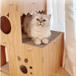 고양이 냥이 계단 스크레쳐 숨숨집 47 고양이집 캣 타워 : 몽이네 구멍가게