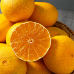 제주연가 황금향 가정용 10kg(70과 내외) : 푸드큐레이터