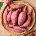 해남 숙성 꿀 고구마 호박 꿀밤 호풍미 황토 속노란 고구마 튀김용 호밤 : 숨은농장