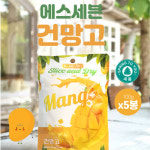 새봄 건망고 말린망고 베트남 망고 말린거 슬라이스 말랭이 100gx5개 : 새봄건강