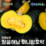 [해남미소] 믿음농장 미니밤호박 4kg(6-8과) : 해남미소