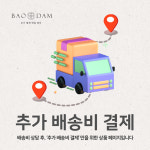 바오담 추가 결제 전용 페이지 : 바오담