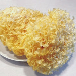 미웰 백목이버섯 수입 1BOX(100gX20개) : 산노을