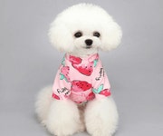 빅 베리 티셔츠 : FIFTH