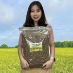 꽃보다이쁜다육 분갈이흙 8L(6~7kg) : 꽃보다이쁜다육