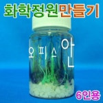 삼투압원리 금속염 화학 정원만들기 6인 실험 사이언스 교과연계 : 무무대