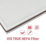 Aneedmore H7123101 교체 필터 GoveeLife H7123 공기 청정기와 호환. 4-in-1 True HEPA(H13) + 4 활성탄 콤보(6팩) : 다-이지