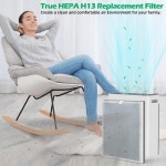 Cokwair H7123 H7123101 HEPA 교체 필터 GoveeLife 공기 청정기에 적합, 활성탄 10% 더 많음 2팩 : 다-이지