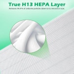 Cokwair H7123 H7123101 HEPA 교체 필터 GoveeLife 공기 청정기에 적합, 활성탄 10% 더 많음 2팩 : 다-이지