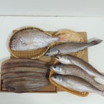 삼천포 용궁시장 제수용 반건조 생선 세트2(참돔1+서대6+민어1+민어조기3) : 아리앤