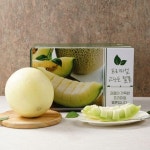 추석 과일선물세트 허니듀 메론 3.6kg 명절선물 멜론 : 제이제이 코퍼레이션