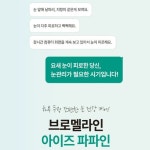 눈에 날파리 지렁이 먼지 헬시클릭 브로멜라인 아이즈 파파인 60정 파인애플효소 비타민B 칼륨 : 태윤 스토어