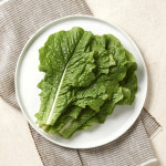 [새벽배송][우리가락]로메인 50g : 작심밀도