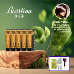 보스티나 더 플러스 염색제 5개 + 꼬리빗 1개 : 신세계라이브쇼핑