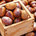 농장직영 광양 밤 백운산 햇밤 알밤 깐밤 500g 1KG : 유기농 매실사랑농원