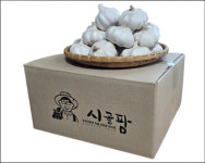 시골팜 25년 대서 햇 마늘 종자용 씨마늘 국산 통마늘 5kg (특) 산지직송 : 시골팜 비트농장