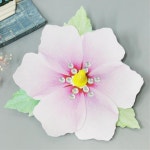 초등 우리나라 무궁화팽이 만들기 호국보훈의달 5P 유치원 노인 교구 재료 : 카빌