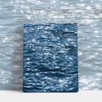 DIY 그림그리기 명화 유화그리기 세트 플라워가든 시리즈 피오니스 : 포토벨로 잡화점