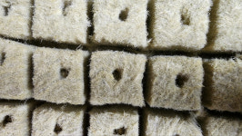 빅스타마켓 씨앗 발아용 암면배지 수경재배 배지 락울 블럭 (100개입/150개입) : 빅스타마켓