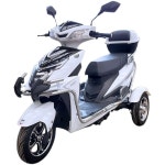 3륜 전동스쿠터 전기 오토바이 3바퀴 어르신 장애인 3발 바이크 : 김가네만물상2