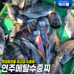 장산 연주찌 숏버전 - 염주찌 연주메탈수중찌 엉킴방지봉돌 수중찌 : 채비몰