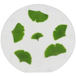 숲학교 생태 체험 학습 식물표본 부채 액자 만들기 활동 모양 : 베비마루