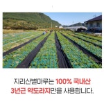 지리산 수제 도라지청 선물세트 기관지에좋은음식 약도라지청 : 언제나맑음  스토어