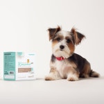 어린강아지 성장발육 고에너지 분유스틱 30p 강아지사료파우더 파우더 : 제이스토리2024